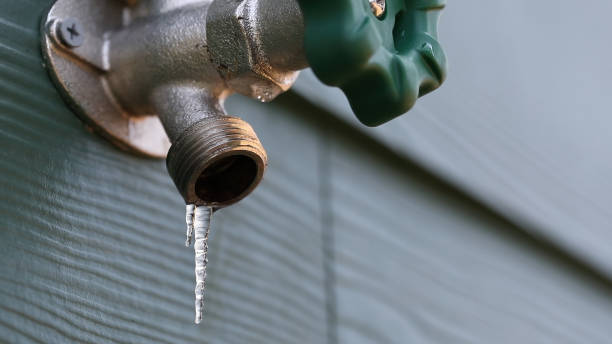 Best Emergency Plumber  in Badieville, LA