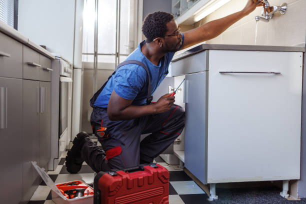 Best Plumbing Inspection Services  in Badieville, LA